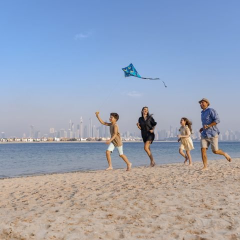 30 beach kite - ARW04003